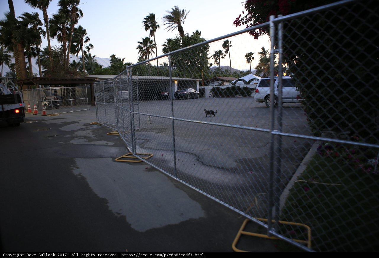 Fenced in Pooch