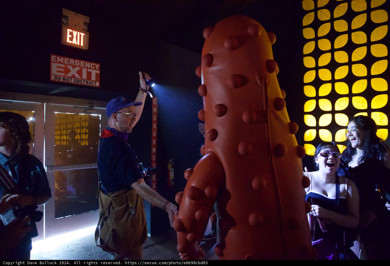 Surreal Nights: Joy and Eccentricity at Coachella 2024