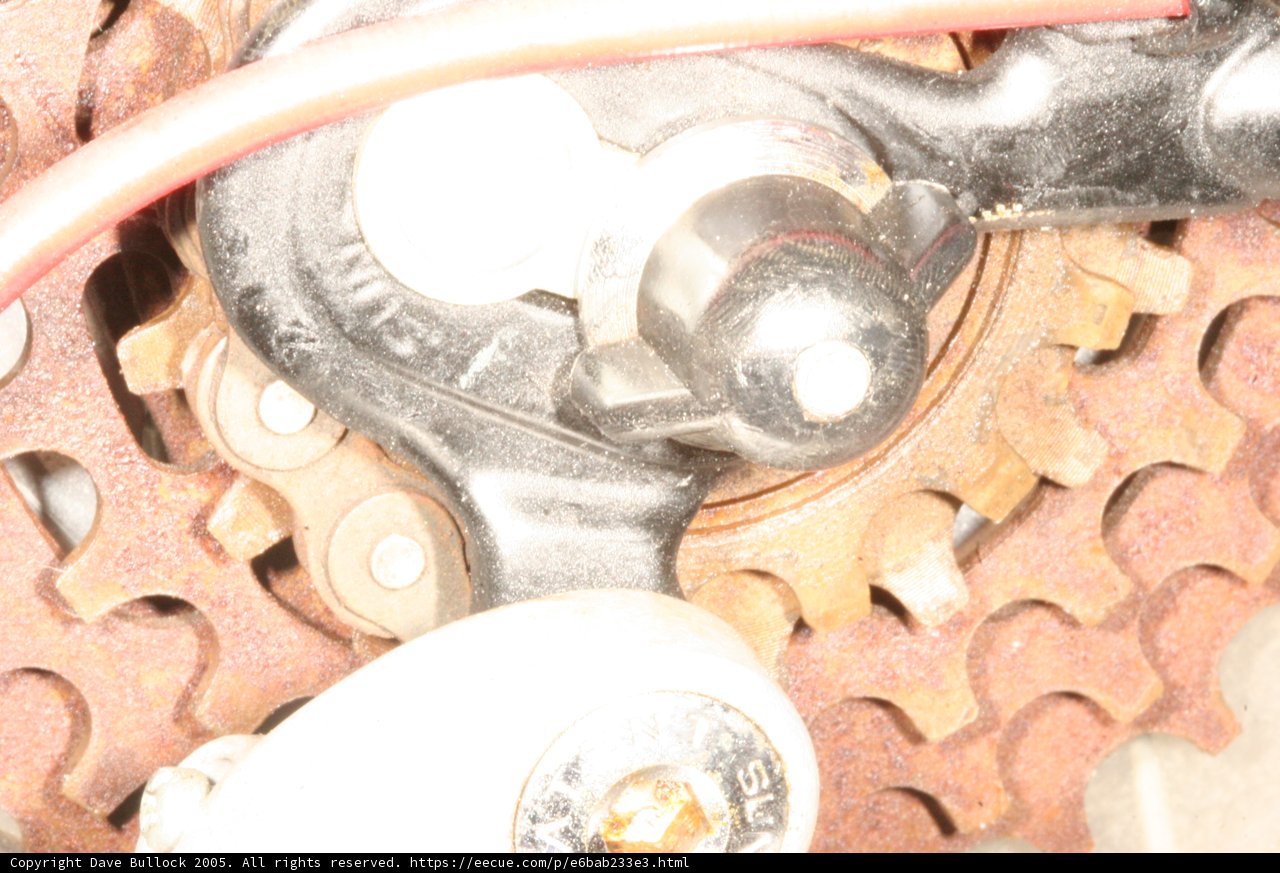 Rusty Bicycle Gear and Chain