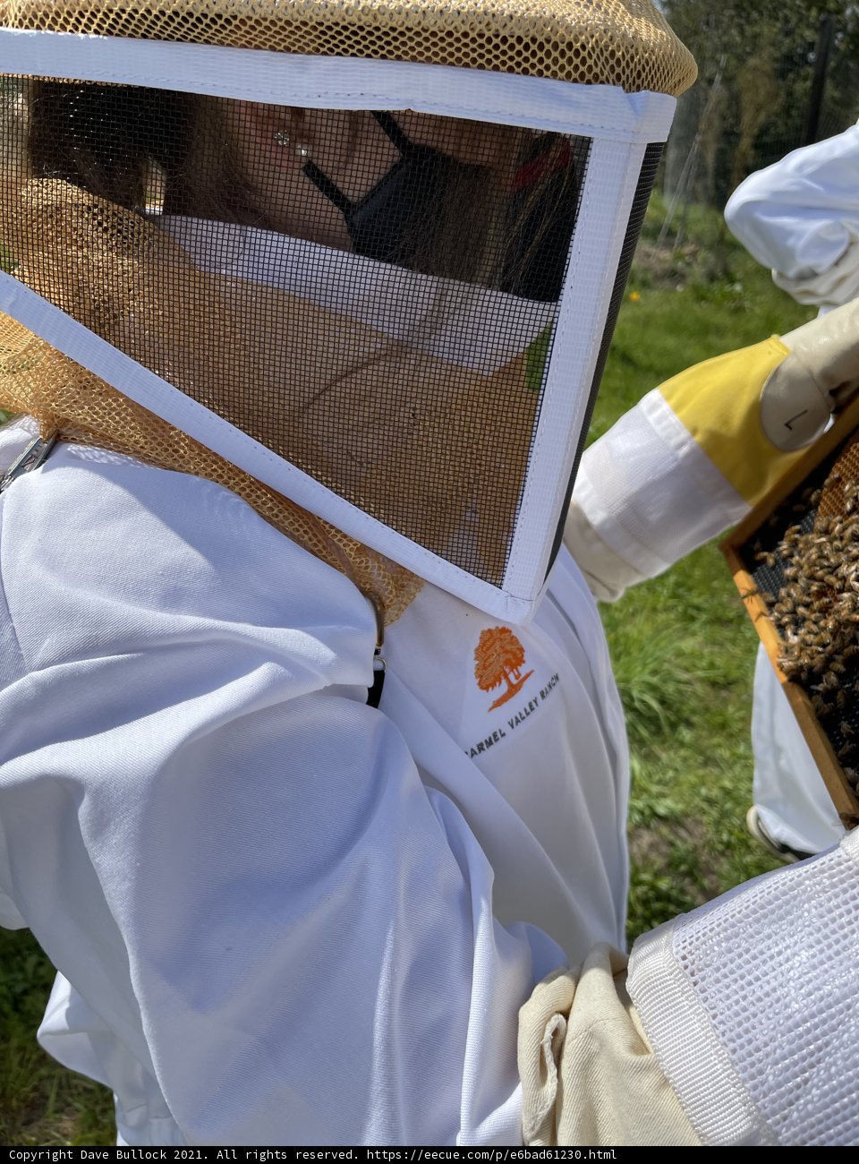 Beekeeper Checking on Her Hive