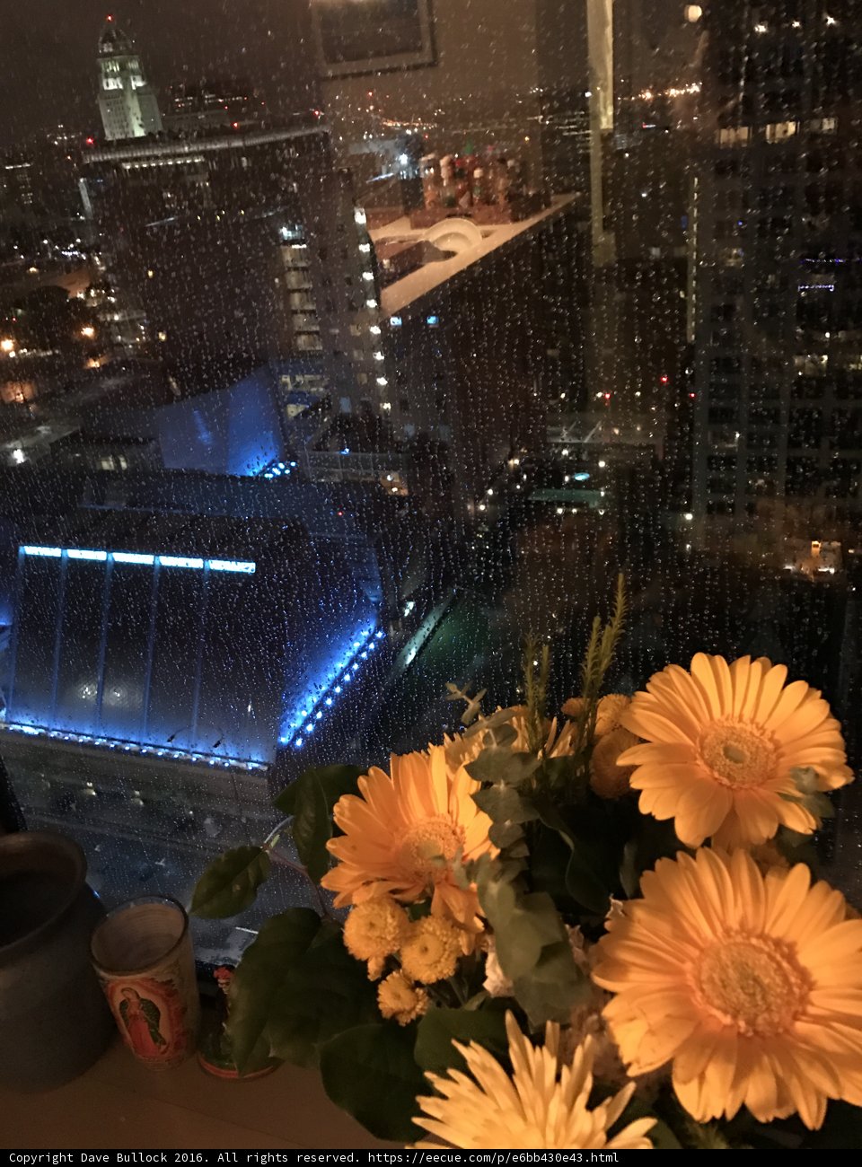 Flower Bouquet Illuminates Urban Setting