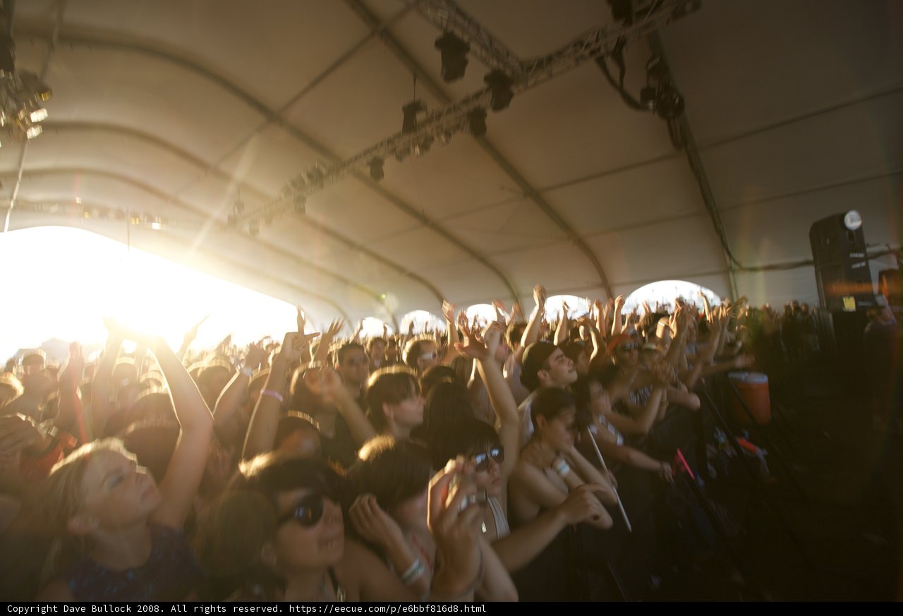 Hands Up in the Crowd
