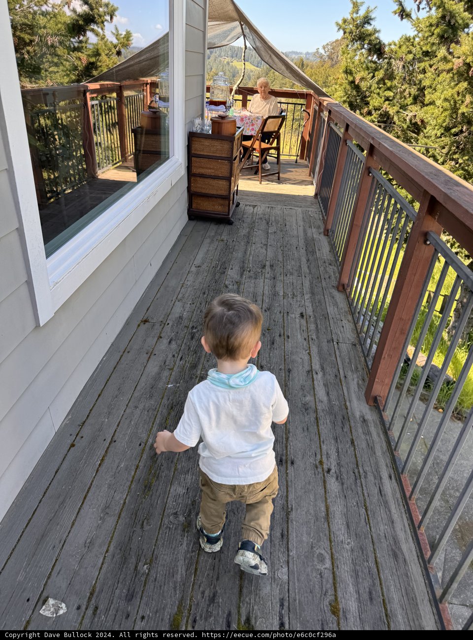 A Stroll on the Wooden Deck