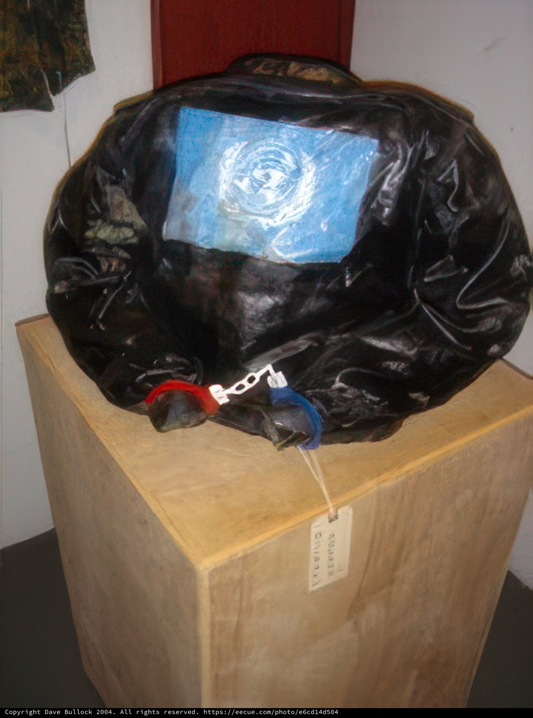 Blue Flag Black Bag