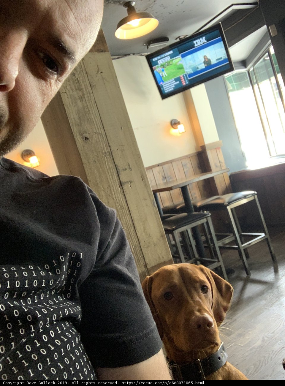 Man and Dog: A Comfortable Duo at the Bar