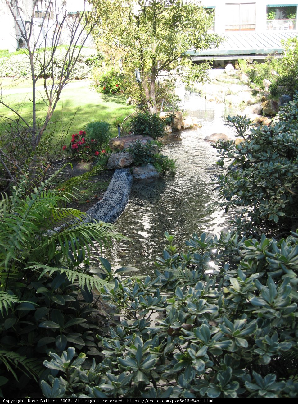 Serenity in the Park