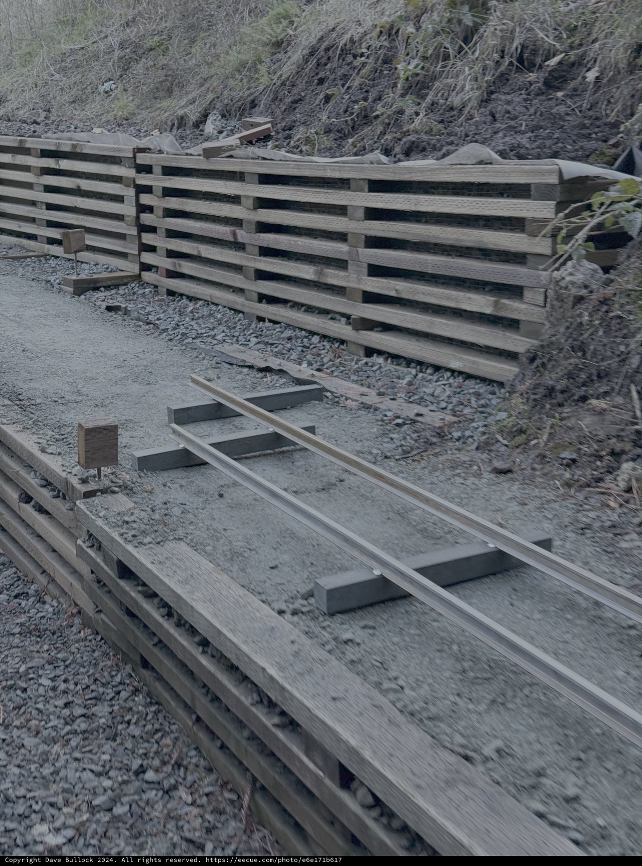 Wooden Bridge Construction on Nature Trail
