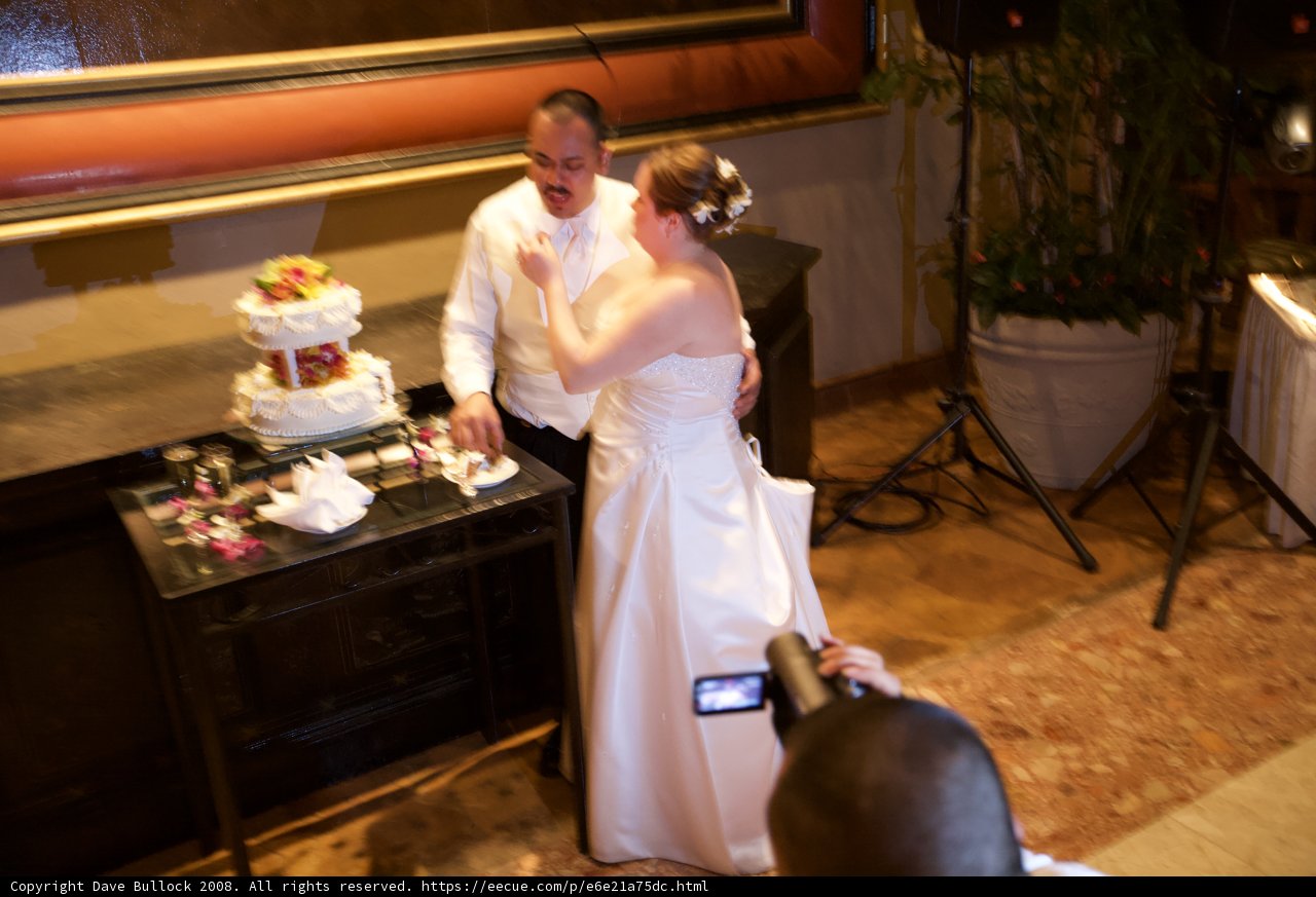 Capturing the Wedding Bliss