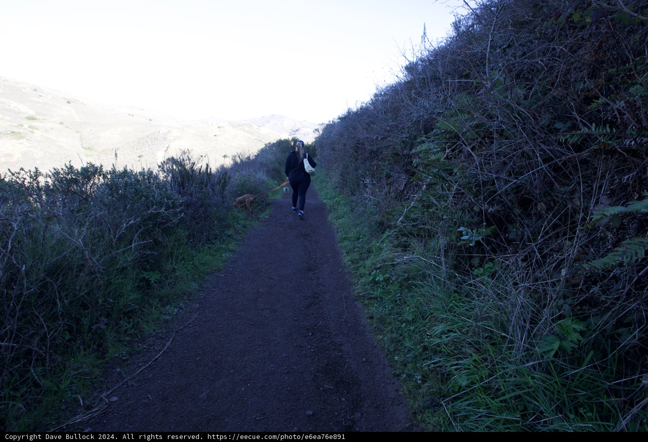 Trailblazing in Marin Headlands Hill 88