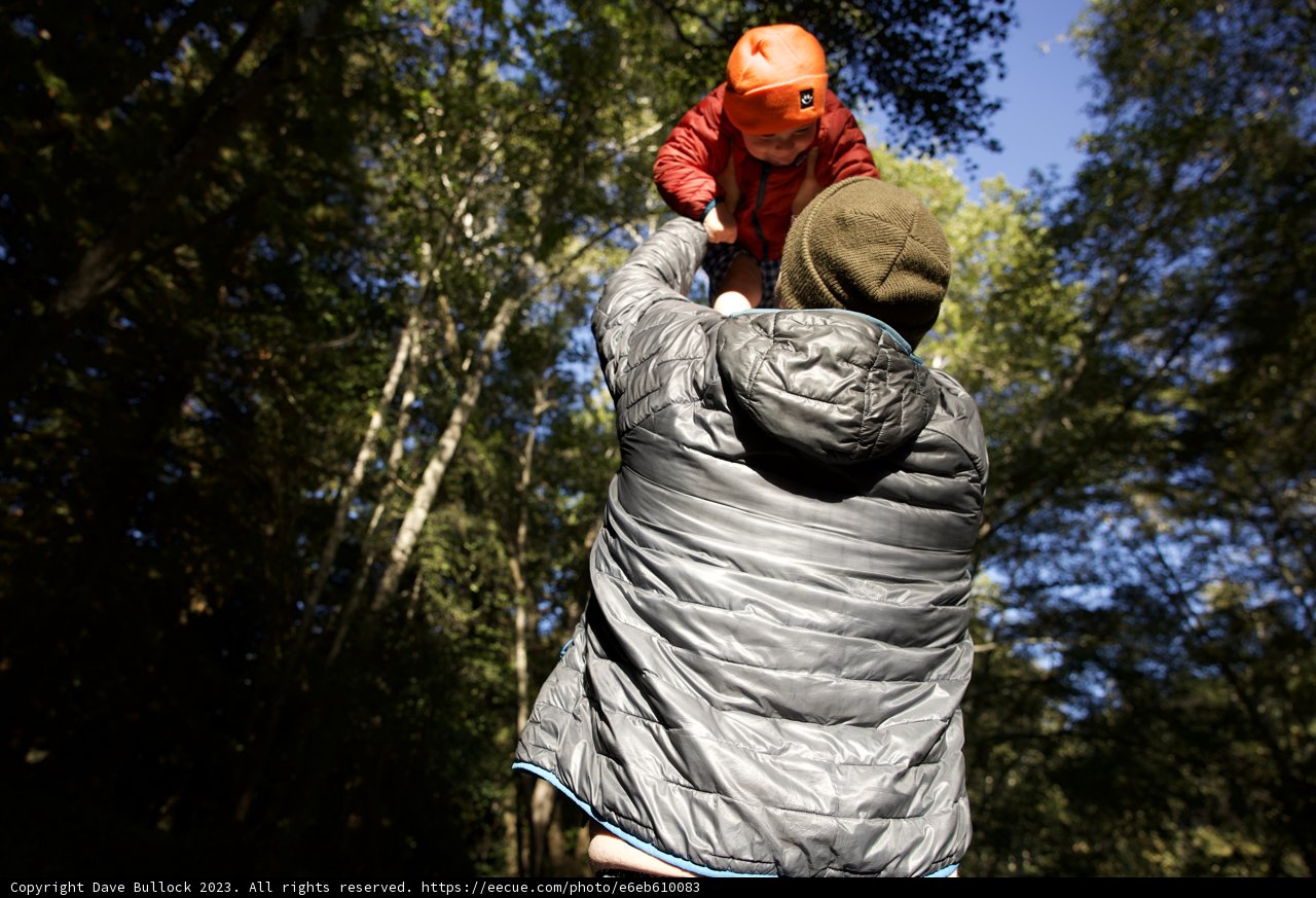Soaring High in Big Sur