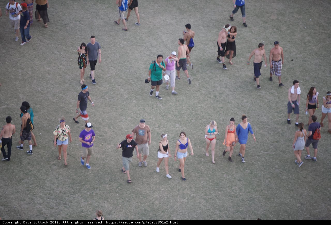 Walking through the Coachella Field