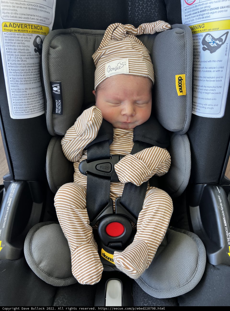 Little one on the go