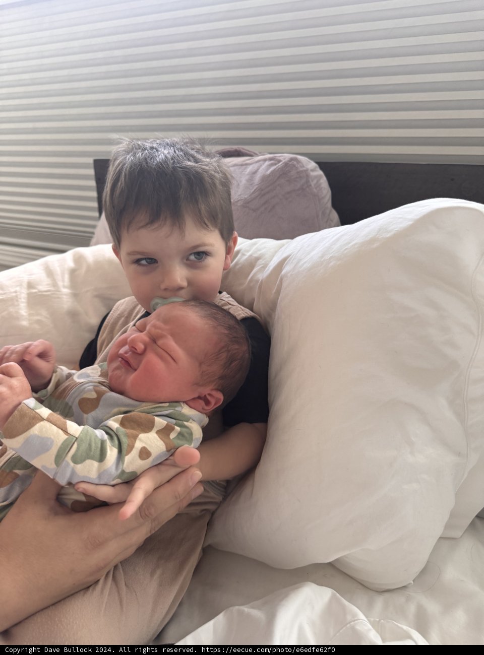 Brotherly Bond