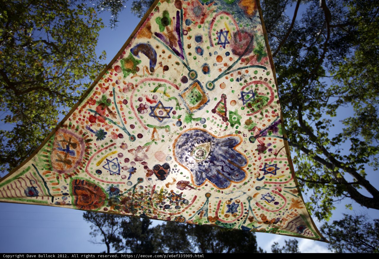 Kite in the Tree