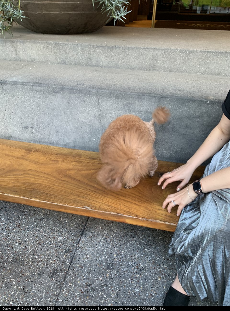 Bench Buddies