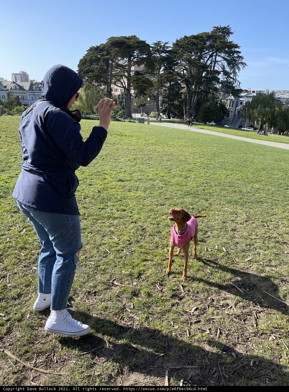 Park Day with My Pupper