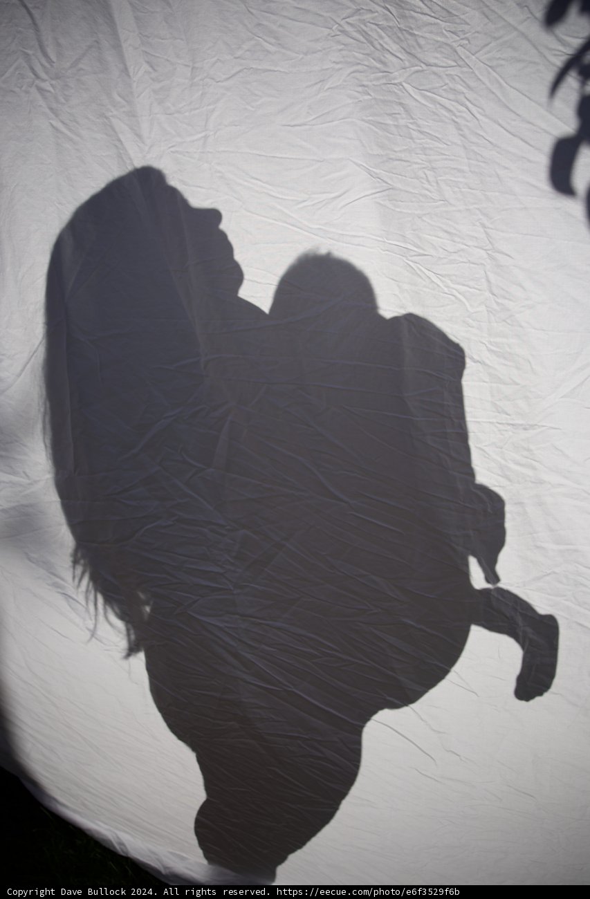Silhouetted Serenity: A Moment of Expectancy