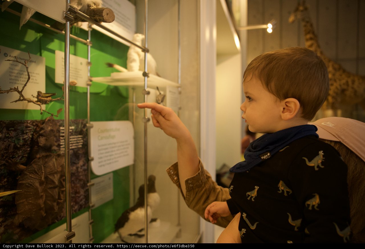 Mamma Moments at the Museum