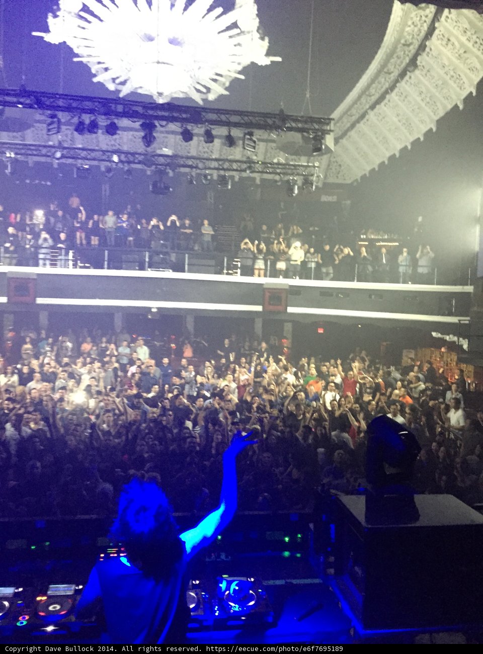 Spotlight on the Rock Star