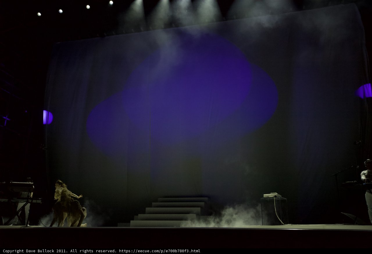 Spotlight on Stage with a Four-Legged Friend