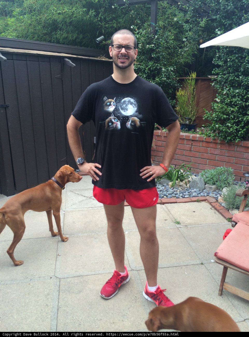 Man and Dogs in the Backyard