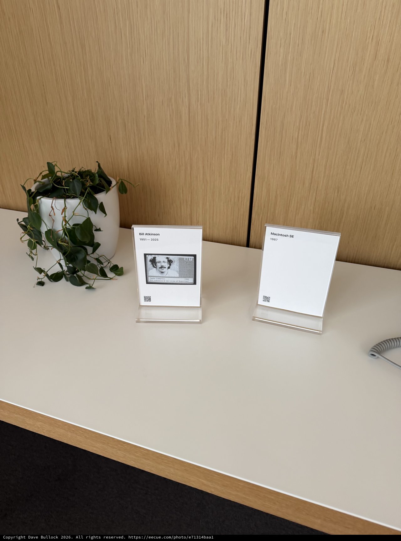 Memorial Cards on Office Desk with Plant