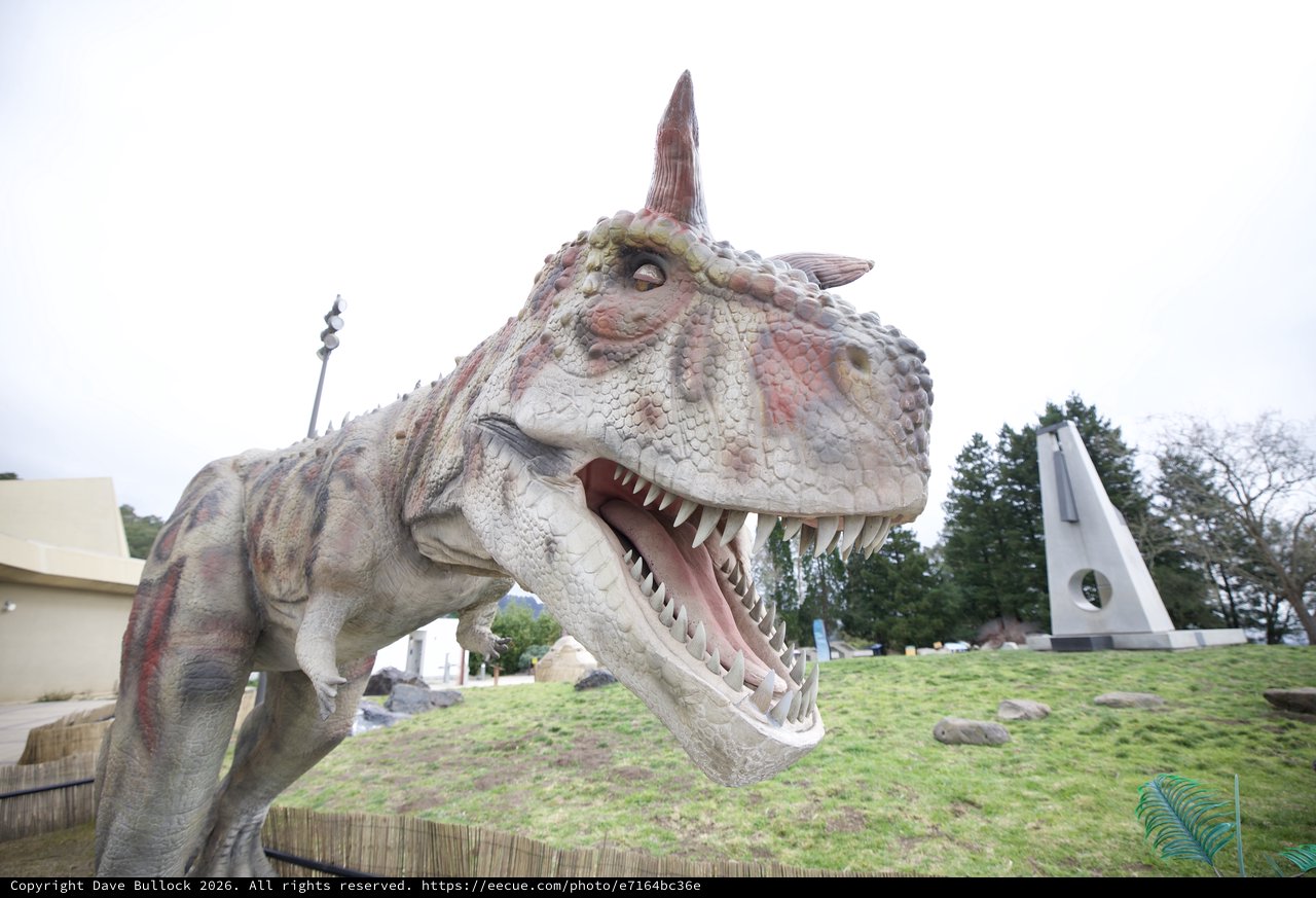 Life-Size Dinosaur Model at Outdoor Park Display