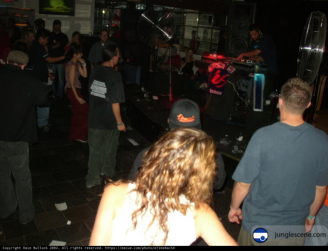Nightclub Crowd Getting Pumped Up