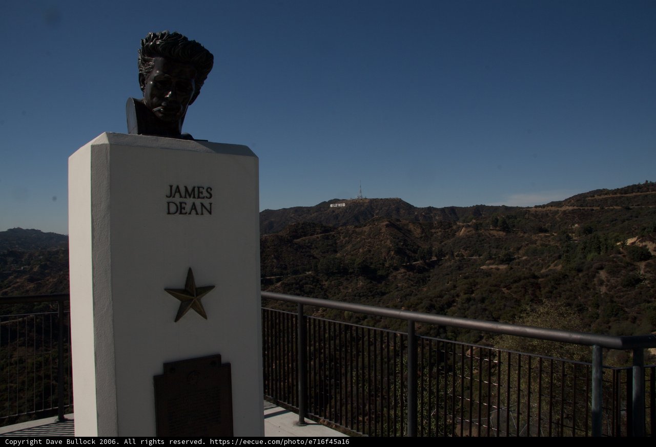 Hollywood Majesty
