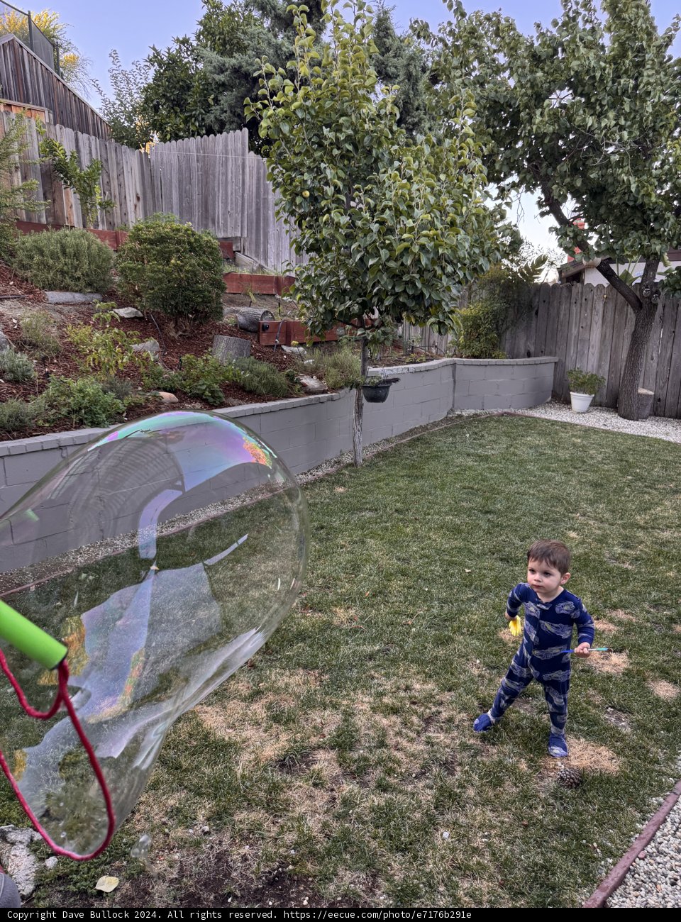 **Bubbles and Wonder**