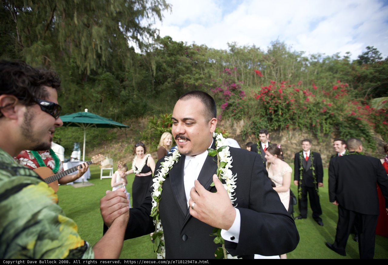 A Hawaiian Wedding to Remember