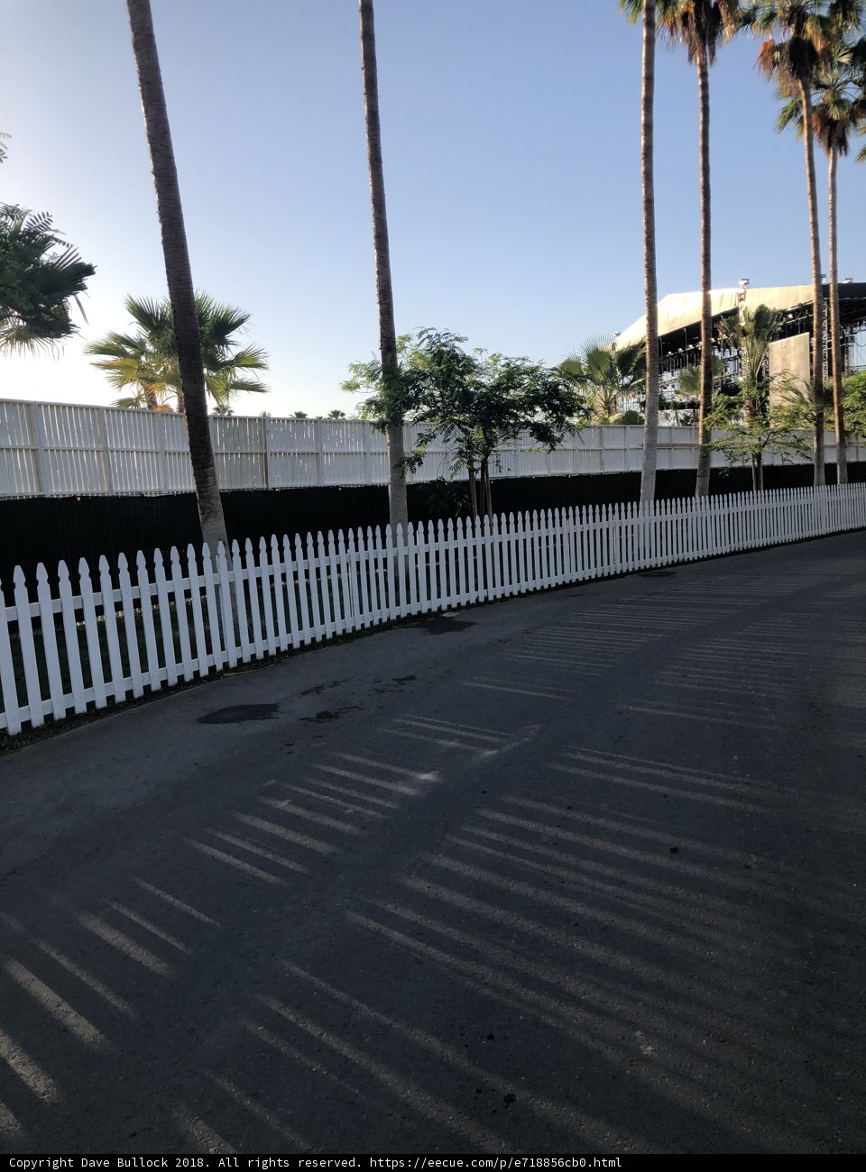 Serene Yard with Picket Fence and Palm Trees