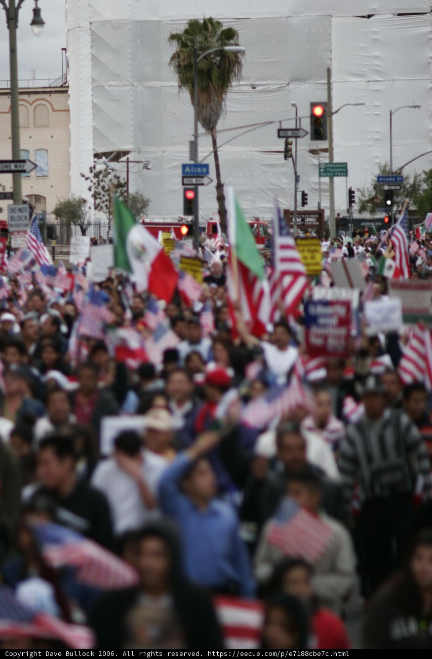 Patriotic Crowd