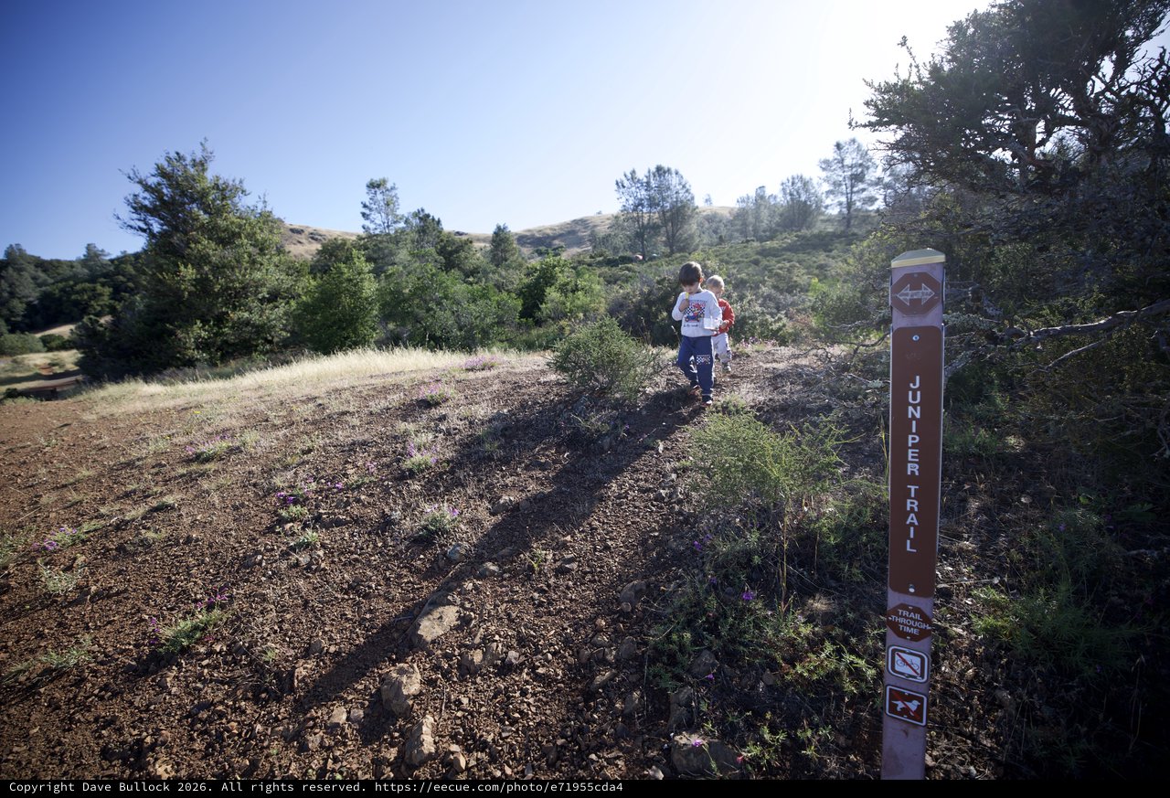 Young Hikers Exploring Juniper Trail on Mt. Diablo