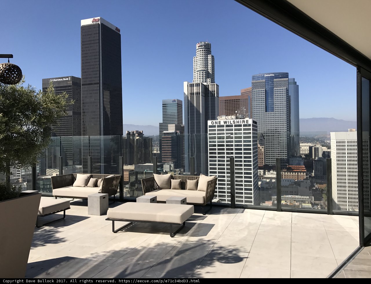 Urban Oasis