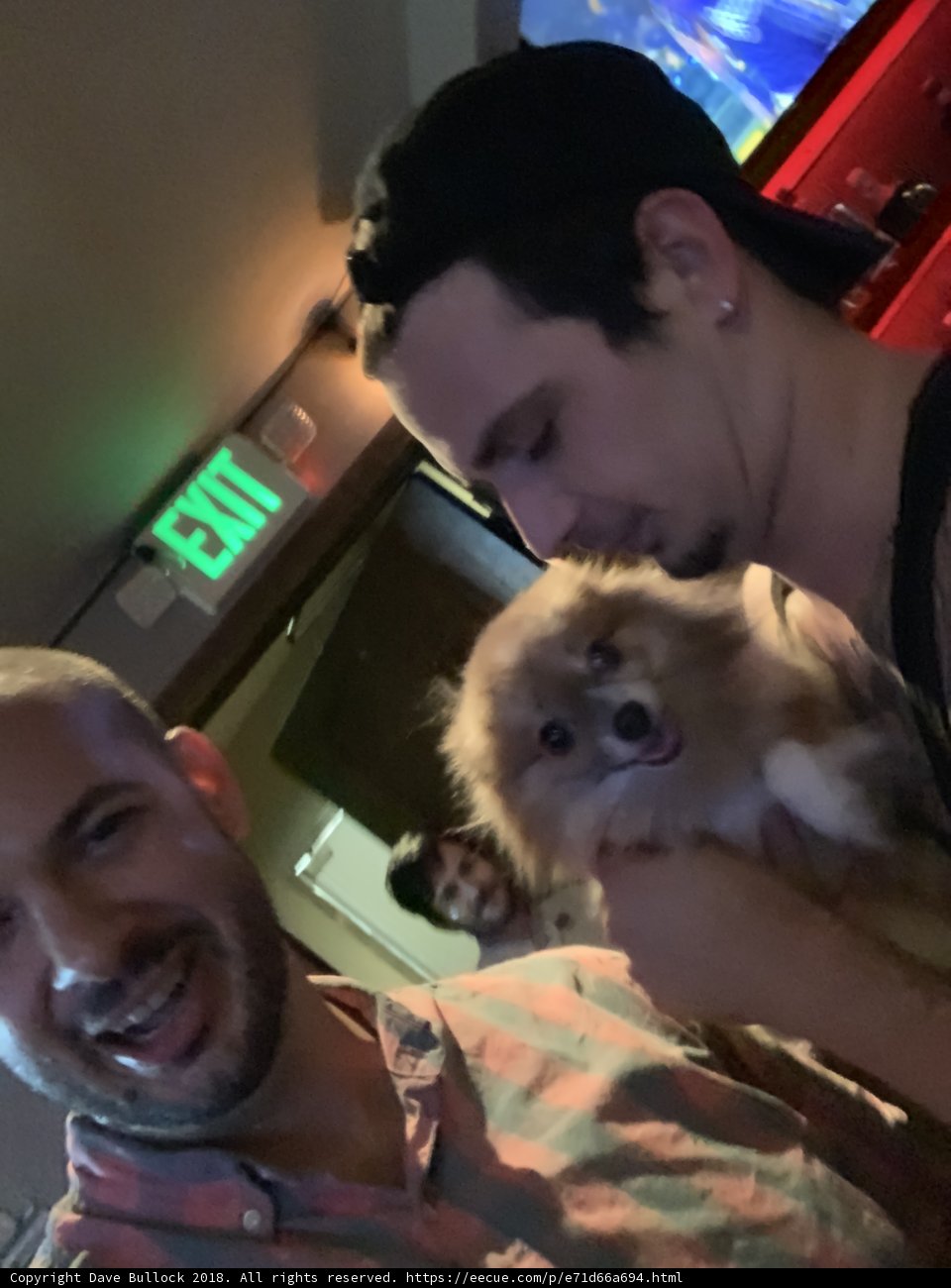 Two Men and Their Canine Companion