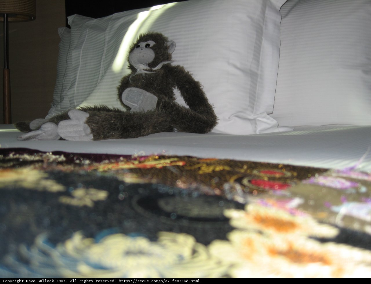 Monkeying Around on the Bed