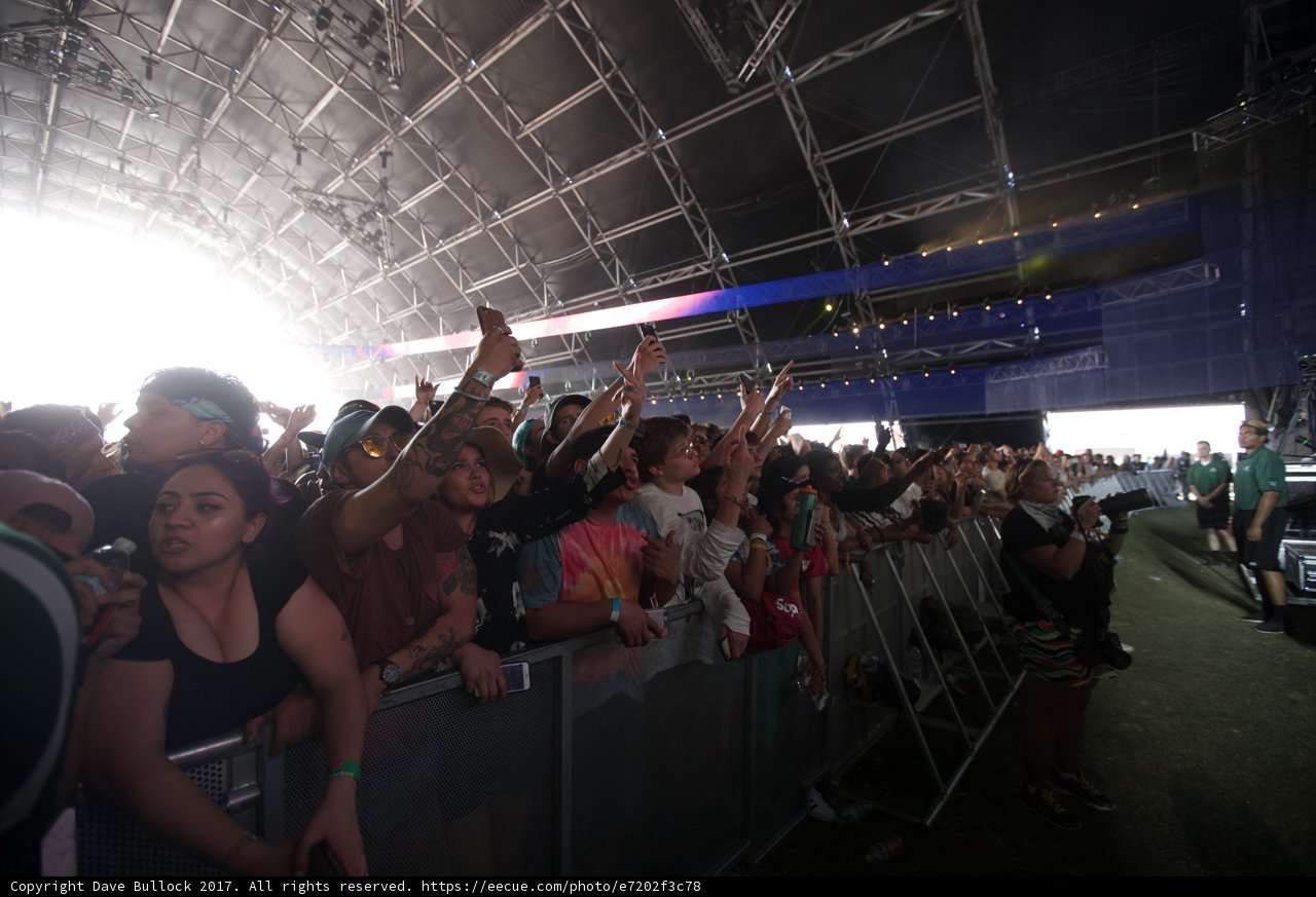 Hands Up in the Crowd