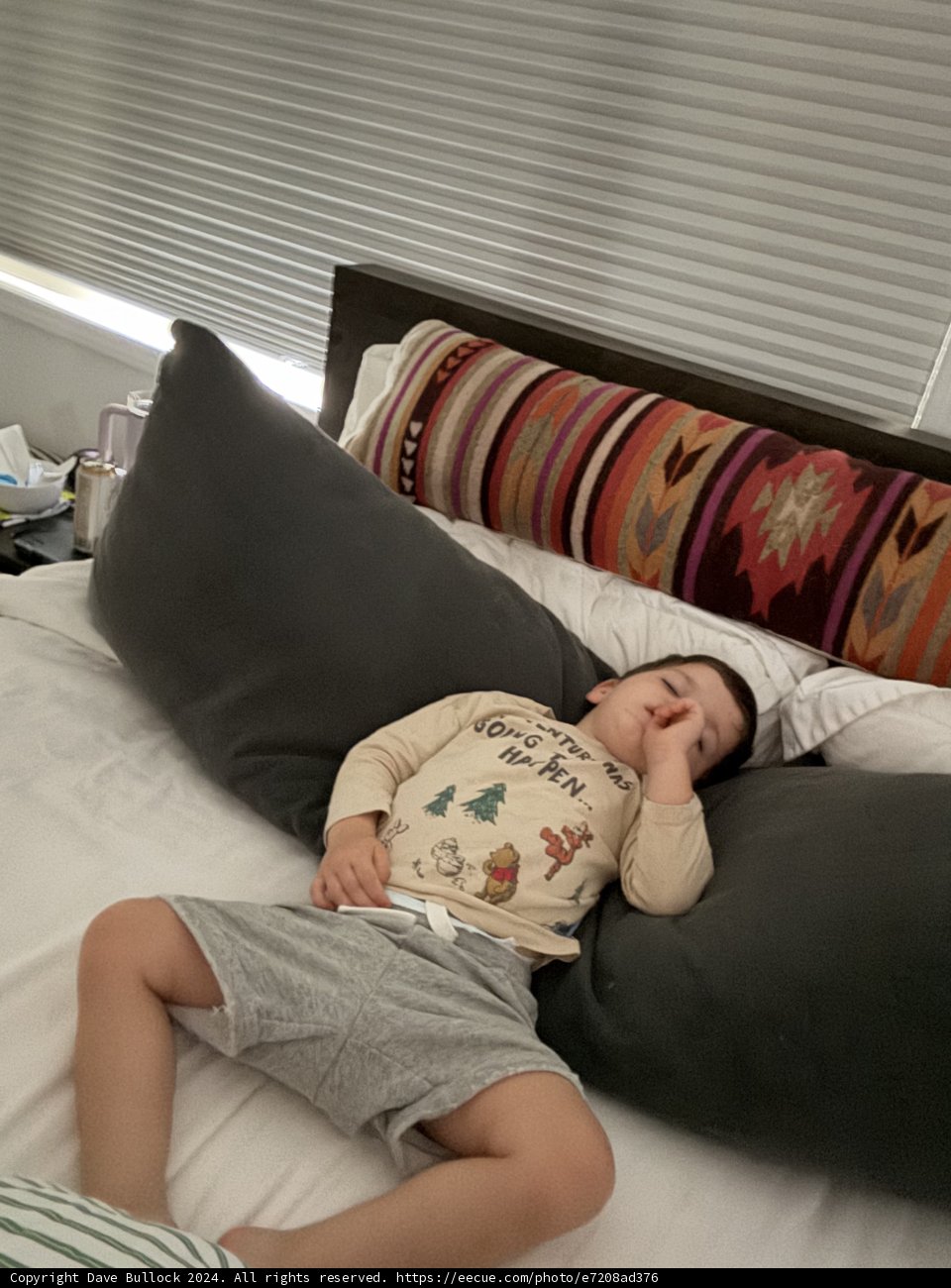 Cozy Afternoon Nap