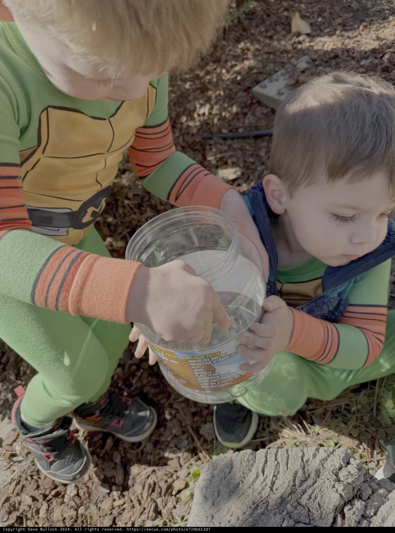 Children Exploring Nature with Glass Container