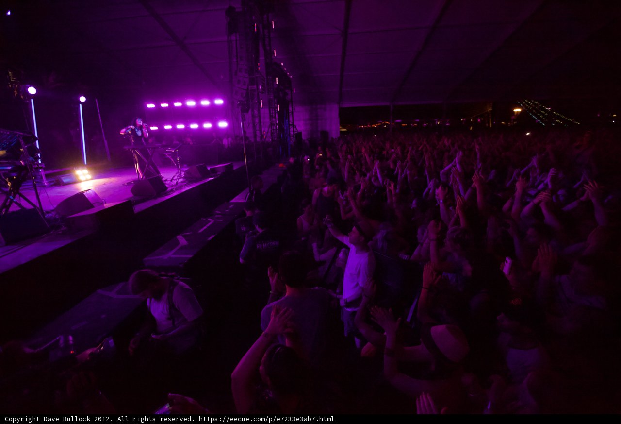 Purple Haze at Coachella
