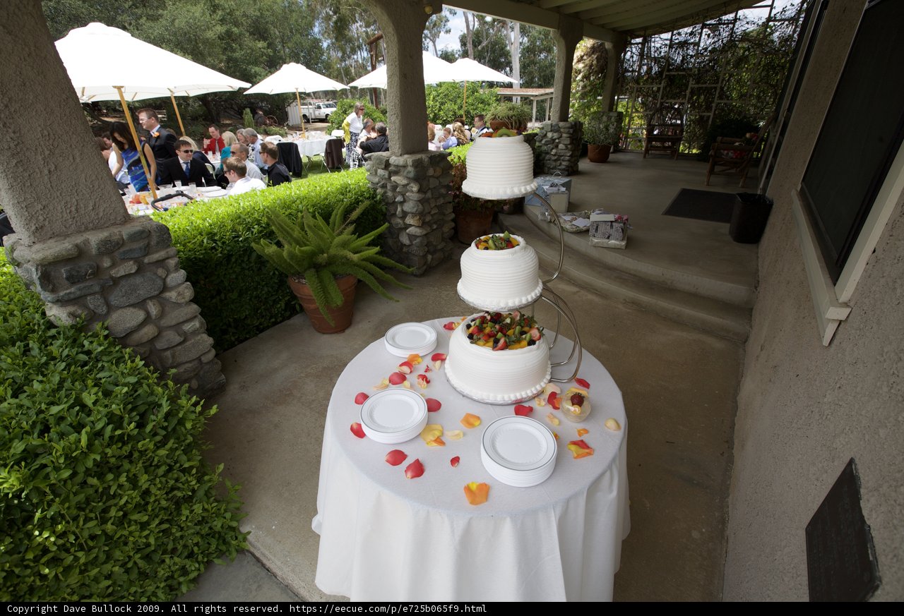 Celebrating Love with a Delicious Cake