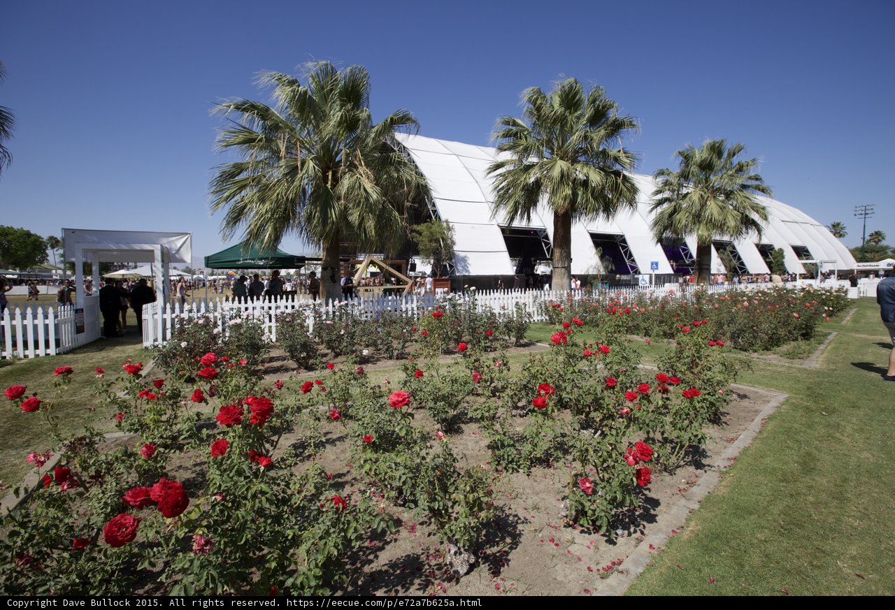 A White Tent Adorned with Red Roses