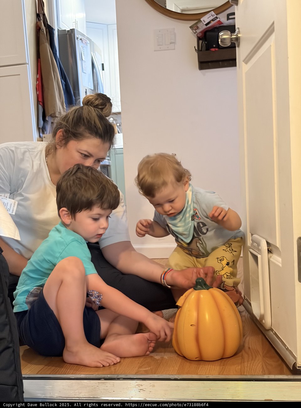 Curious Moments with a Pumpkin
