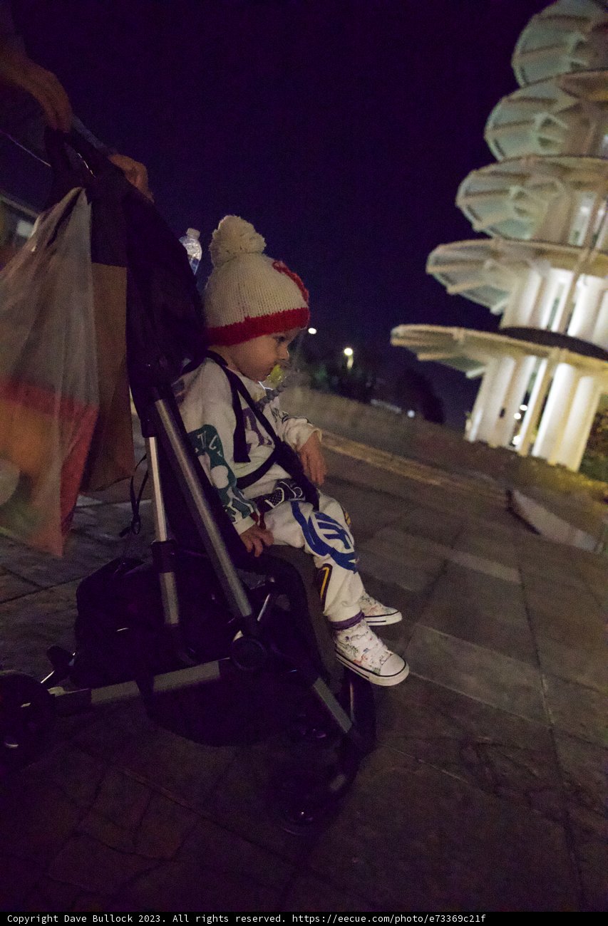 Starry Night Stroll in Japan Town, 2023