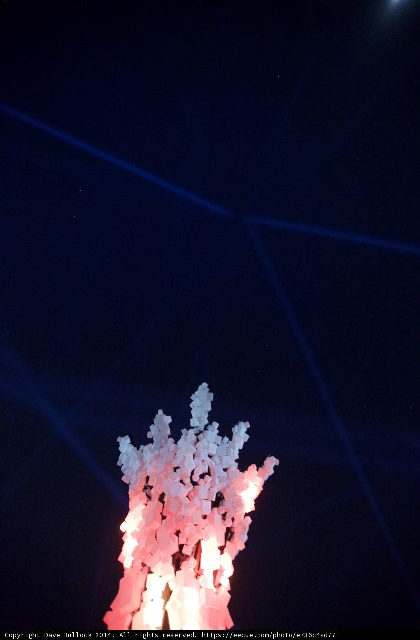 Moonlit Bloom