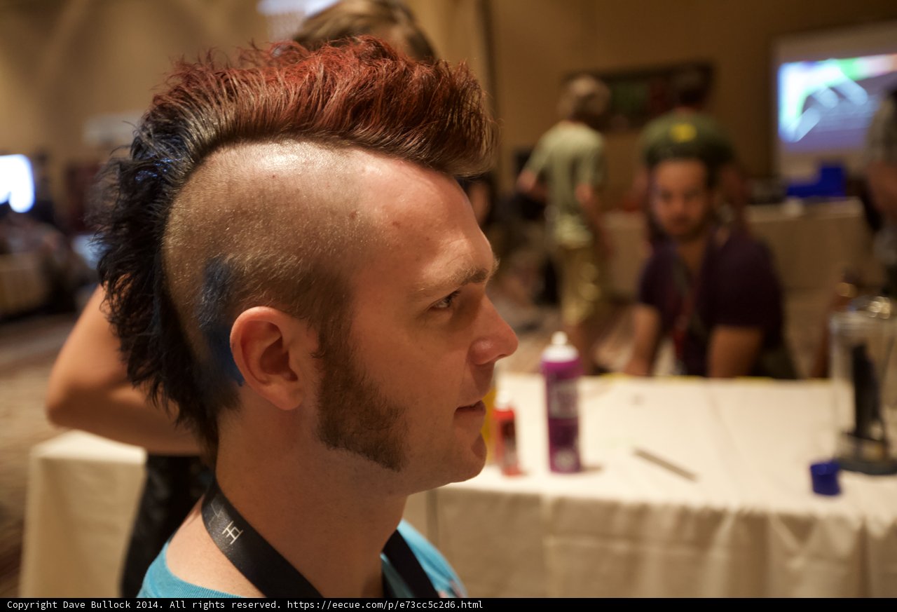Mohawk Mania