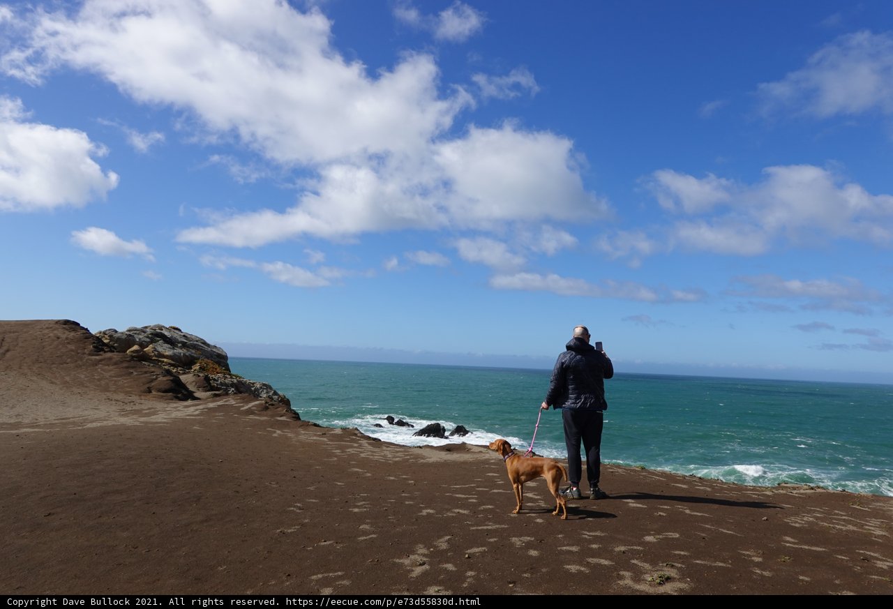 Overlooking the Majestic Ocean
