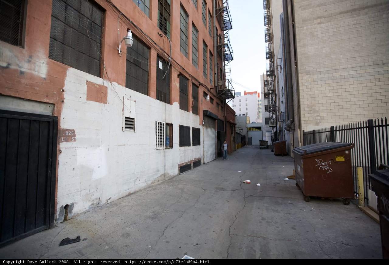 The Narrow Path of the Concrete Jungle