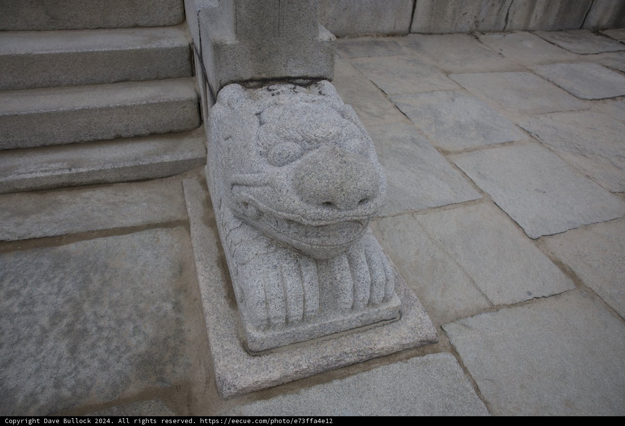 Legacy of Stone: A Lion's Stare in Korean Architecture